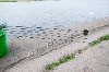 20120607_ (52)